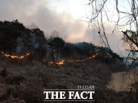  영덕군 야산에 산불...