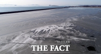 [TF포토] 화성호도 얼려버린 북극발 한파의 위력