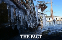 [TF포토] '고드름 맺힌 한강'