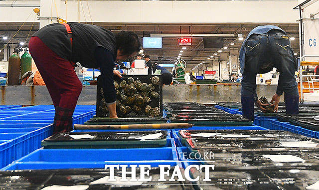 지난해 우리나라의 수산물 수출이 전년 대비 소폭 감소했다. /더팩트 DB