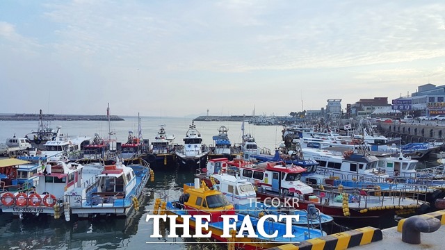 지난해 개정된 해양환경관리법 시행에 따라 국내 항해 선박은 경유는 기존과 동일하게 0.05% 이하, 중질유는 0.5% 이하로 일괄 강화된다. /군산해경 제공