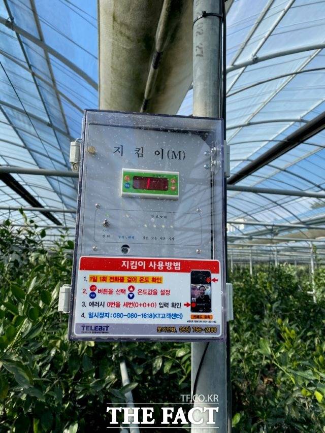 서귀포시는 과수시설 농가의 재해예방을 위한 2021년 과수하우스 재난방지 시스템 지원사업을 신청‧접수 받는다고 8일 밝혔다. / 서귀포시 제공