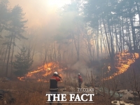  경기도, 올해 산불전문예방진화대 31개 시.군에 1005명 배치