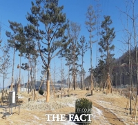  김천시, 산업단지 주변 미세먼지 차단숲 조성