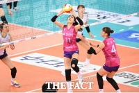 [배구토토] 매치 7회차 배구팬 '흥국생명, 한국도로공사에 완승'