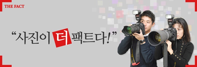 더팩트 사진 공모전 대국민 투표는 13일부터 오는 20일까지 진행된다. 홈페이지 오른쪽 상단 배너를 통해 사진전 홈페이지에 들어가면 투표를 할 수 있다. /더팩트DB