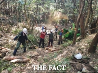  서귀포시, 코로나19 극복 녹색 일자리 제공 서민경제 활성화