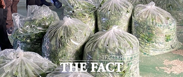 지리산 청정지역의 하동산 취나물. /하동군 제공