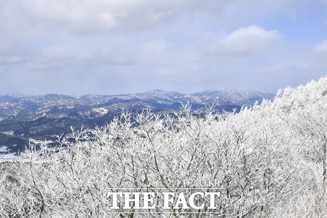 흰 눈으로 덮인 지리산 바래봉. /강지웅 제공