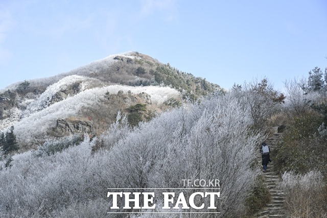 한 시민이 정령치 상고대 등산로를 조심스럽게 오르고 있다. / 강지웅 제공