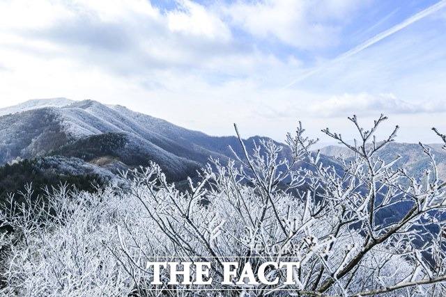 18일 설산으로 변한 전북 남원시 지리산 정령치 산고대. /강지웅 제공