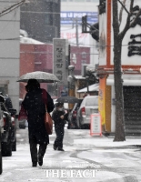 [TF포토] '눈 내리는 서울'