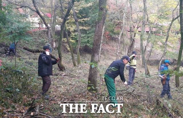 정읍시 산림 분야 녹색일자리 창출 사업에 참여한 근로자들. / 정읍시 제공