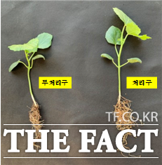 정읍시농업기술센터는 미생물배양실에서 생산한 고초균 등 5종의 미생물 100여 톤을 600여 농가에 공급했다. / 정읍시 제공