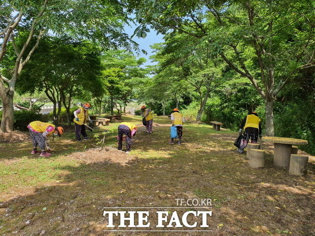 화순군은 159억 원을 투입해 노인 일자리와 사회활동 지원사업을 오는 2월부터 추진한다고 27일 밝혔다./화순군 제공