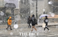 [TF포토] '흰 눈이 펑펑' 눈 내리는 광화문