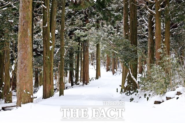 서귀포시는 시민들이 많이 찾는 오름, 용천수, 습지를 대상으로 탐방객편의시설 및 훼손지 복원 등 사업비 12억3000만원을 투입, 자연환경보전이용시설 사업을 추진한다. / 서귀포시 제공