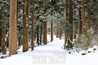  서귀포시, 훼손 오름․용천수․습지 상반기 정비완료 추진