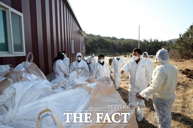 31일 포항시 북구 청하면의 한 산란계 농장에서 고병원성 조류인플루엔자(AI)가 발생한 가운데 이강덕 포항시장이 현장을 둘러보고 있다/포항시제공