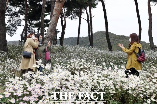 정읍시, 내장산국립공원과 구절초 테마공원 ‘한국 관광 100선’ 선정 / 정읍시 제공