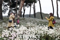  전북 정읍시, 내장산국립공원과 구절초 테마공원 ‘한국 관광 100선’ 선정