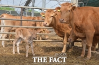  순창군, 2022년에 지원할 농림축산식품사업 오는 19일까지 접수