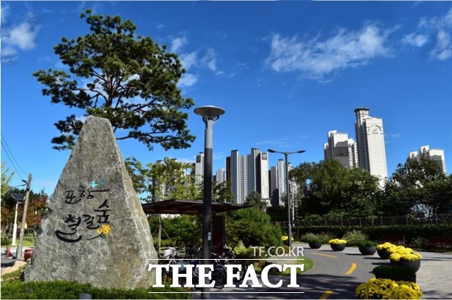 포항시의 2천만그루 생명의 나무심기 운동이 시행 5년차를 맞은 가운데 지난해 말까지 목표의 119.8%를 초과 달성했다./포항시 제공