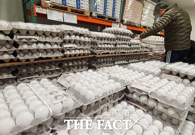 AI(조류인플루엔자) 확산으로 급등한 계란 가격 안정화를 위해 수입된 미국산 계란이 8일 오전 서울 양천구 한 대형마트에서 판매되고 있는 가운데 시민들이 계란을 살펴보고 있다. /남용희 기자