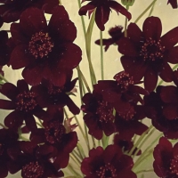  디어클라우드, '안녕 그대 안녕' 리메이크…디지틀 싱글 발매