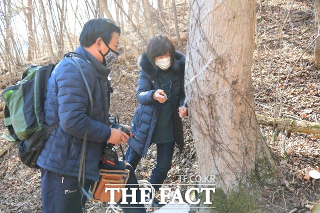 지리산 뱀사골에 고로쇠 수액 채취가 본격 시작 되었다. /남원시 제공