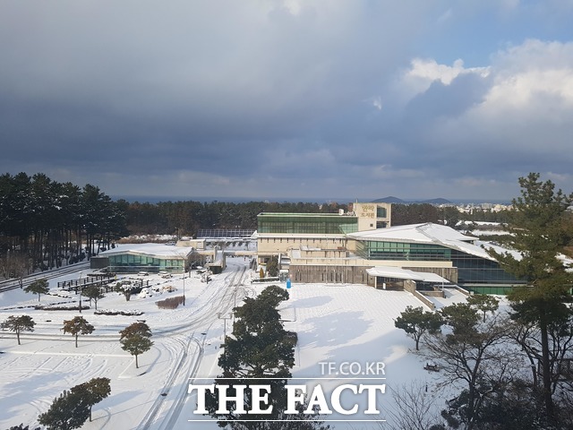 한라도서관은 겨울방학을 맞아 집 콕 생활에 지친 어린이들의 독서생활 증진을 위해 연령별 맞춤형 독서프로그램을 오는 22일부터 운영한다. / 제주도 제공