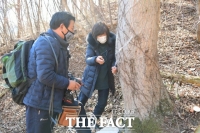  남원시, 지리산뱀사골 