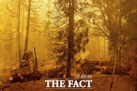  경북 영덕군 화개리 삼림지역에서 화재 발생