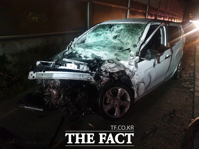 사진은 본 사건과 관련 없음./더팩트DB