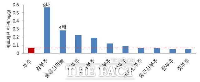 국립수목원 연구 결과, 강부추에는 콜레스테롤 낮추는 퀘르세틴 성분이 일반 부추 보다 8배 많은 것으로 밝혀졌다. /국립수목원 제공