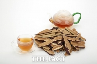  농진청 '겨울철 영지버섯으로 호흡기·수면 건강 챙기세요'