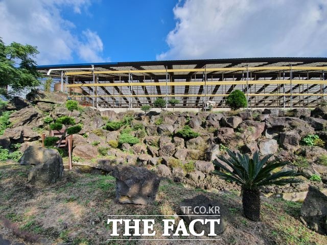 제주시는 축산업 허가를 받은 한・육우, 젖소, 돼지, 닭, 오리 농가를 대상으로 21년 깨끗한 축산농장 지정 신청을 2월부터 연중 사업장 소재지 읍・면・동에서 접수를 받는다. / 제주시 제공