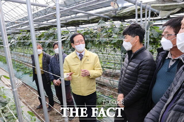 송귀근 고흥군수가 포두면 오이 시설하우스 집단재배지를 찾아 오이작황과 애로사항을 청취하며 농가를 격려하고 있다. /고흥군 제공