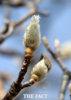  [오늘의 날씨] 서울 낮 최고 기온 15도↑, 포근한 봄 날씨