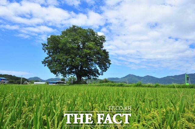 황숙주 순창군수가 23일 국토교통부를 방문해 예산증액을 요청하는 등 발빠른 행보를 보이고 있다. /순창군 제공