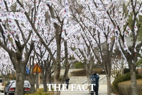  태극기 가득한 효창공원 [포토]