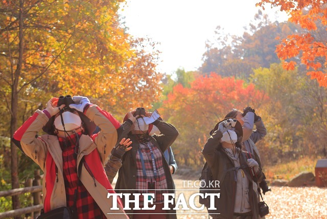국립수목원이 운영중인 식물교실의 광릉숲 산새교실프로그램 교육에 참여한 시민들./국립수목원 제공