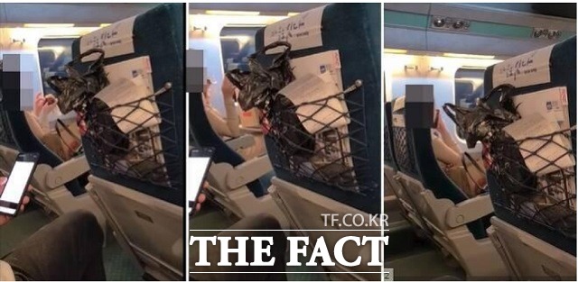 2일 코레일 등에 따르면 지난달 28일 오후 6시 50분께 경북 포항에서 서울로 향하던 KTX 열차 내에서 승객간 말다툼이 일어났다. / 인터넷 커뮤니티 보배드림 캡처