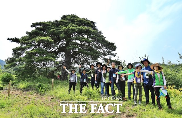 서부지방산림청과 사단법인 숲길은 지리산둘레길 해빙기 정비를 마치고 2일부터 본격적으로 운영을 시작했다고 밝혔다. /서부지방산림청 제공