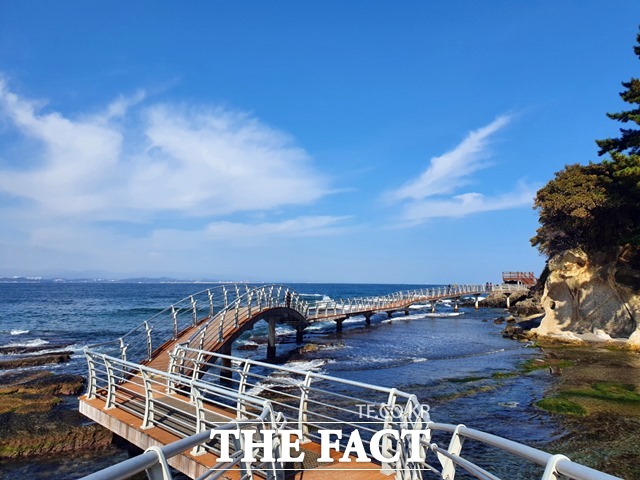 최근 드라마 촬영지로 포항의 핫플레이스로 떠오르고 있는 호미반도 해안둘레길 /포항시 제공