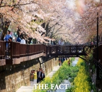  전국 최대 봄꽃 축제 '진해군항제' 올해도 전면 취소