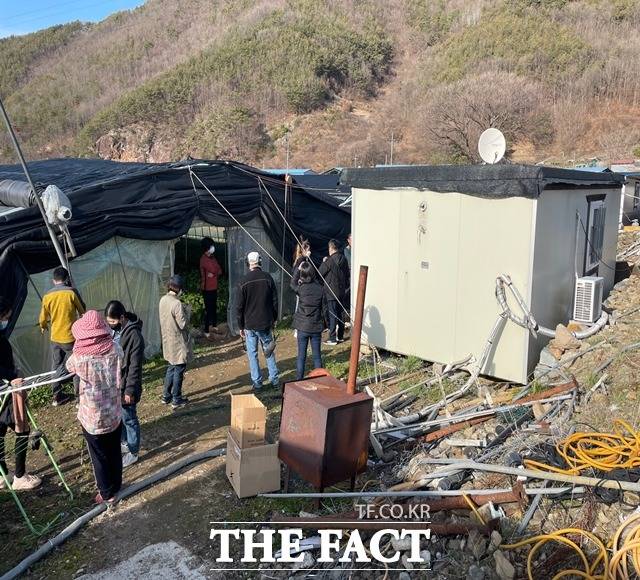 경남 밀양 부북면의 한 깻잎 농가의 모습. 이주노동자들이 일하는 비닐하우스와 생활하는 조립식 패널형 숙소가 나란히 설치돼 있다./밀양=강보금 기자