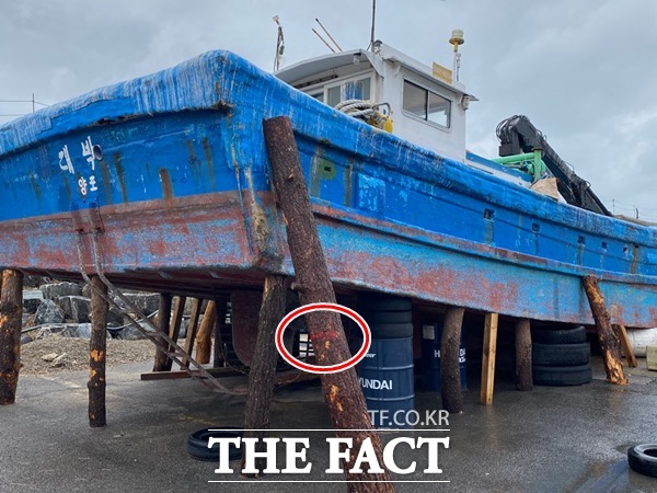 <더팩트>가 2021년3월2일 보도한 ‘세상에 이런 일이...소나무 재선충 감염 나무 어선 버팀목 사용’ 내용 중 어선 버팀목으로 사용한 재선충 감염 소나무는 선주가 자신 소유의 산에서 불법 벌목 한 것이 아니라 재선충 감염 소나무를 벌목해 임시로 모아두는 젭재장에서 불법으로 반출해 온것으로 드러났다./포항=오주섭기자