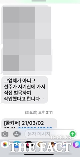 포항시관계자가 <더팩트>에 2021년3월2일 보도한 ‘세상에 이런 일이...소나무 재선충 감염 나무 어선 버팀목 사용’ 내용 중 어선 버팀목으로 사용한 재선충 감염 소나무는 선주가 자신 소유의 산에서 불법 벌목 한 것이라고 문자를 보냈다.하지만 실제로 재선충 감염 소나무를 벌목해 임시로 모아두는 집재장에서 불법 반출 한것으로 드러났다./포항=오주섭기자