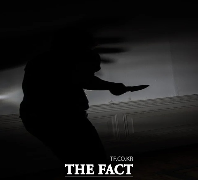 남편의 외도를 의심해 흉기를 휘둘러 살인미수혐의를 받고 있는 아내가 또 남편을 찔러 경찰에 붙잡혔다. /픽사베이